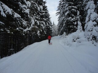 Vakantieappartement Abtenau Omgeving 37