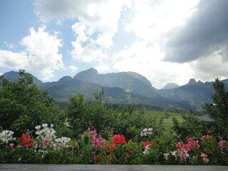 Appartamento per vacanze Abtenau Registrazione all'aperto 4