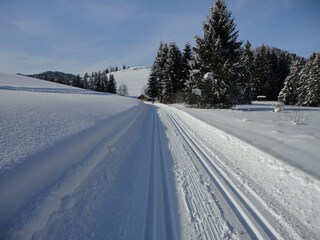 Vakantieappartement Abtenau Omgeving 36