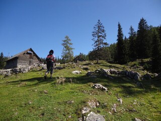 Vakantieappartement Abtenau  30