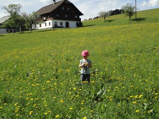 Vakantieappartement Abtenau  33