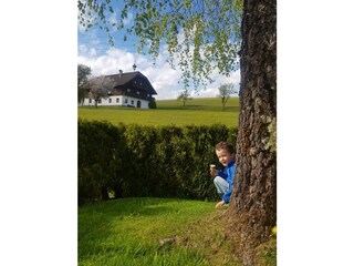 Vakantieappartement Abtenau Buitenaudio-opname 8