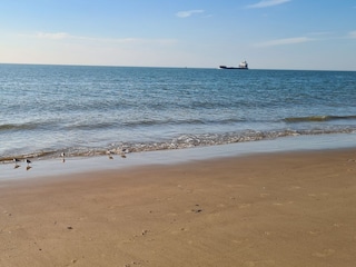 Nordseestrand