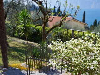 Appartement Malcesine Enregistrement extérieur 4