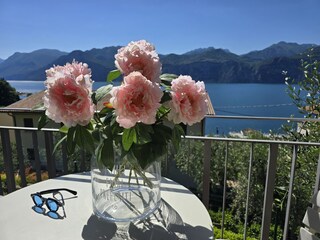 Appartamento Malcesine Registrazione all'aperto 8