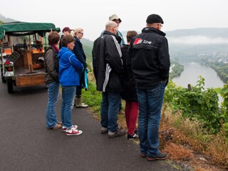 Eine Weinbergsrundfahrt mit Winzer Rudolf Pauly