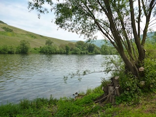 Ein ruhiger Platz an der Mosel