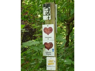 Appartamento per vacanze Bernkastel-Kues  11