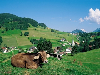 Appartamento per vacanze Jungholz Ambiente 22