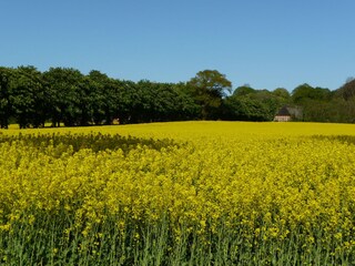 Appartamento per vacanze Kappeln (Stadt) Ambiente 26