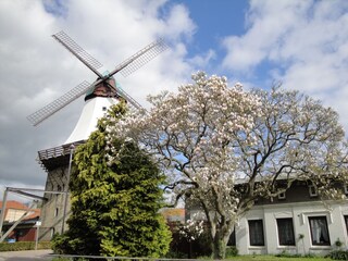 Kappeln Mühle Amanda