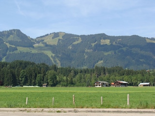 Blick