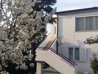 Vakantieappartement Porec Kenmerken 33