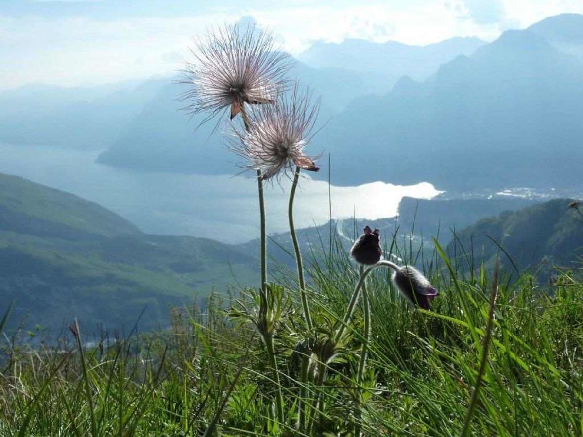 Auf dem Monte Creino