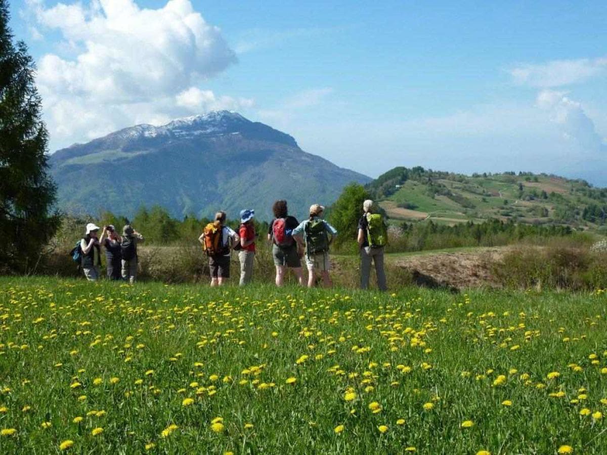 Eine Wandergruppe im Frühling