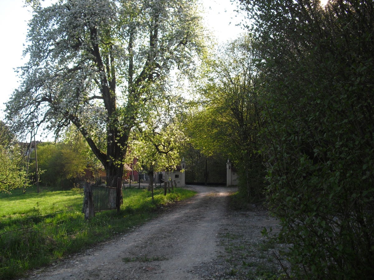 Gästezimmer Gottmadingen Außenaufnahme 2