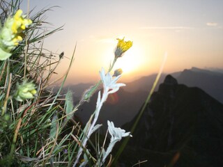 Appartamento per vacanze Schoppernau Ambiente 15