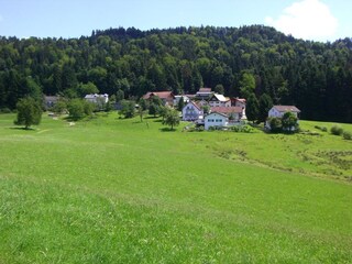 Appartement de vacances Hohenweiler Environnement 15