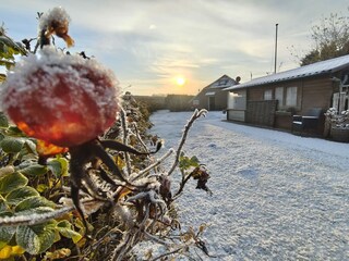 Holiday house Dornumersiel Outdoor Recording 1