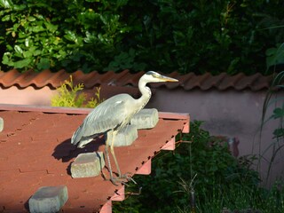 Appartamento per vacanze Bochum Registrazione all'aperto 13