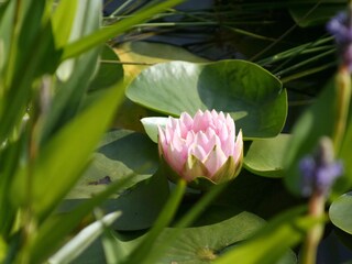 Appartamento per vacanze Bochum Ambiente 32