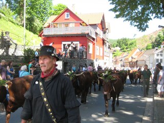 Viehaustrieb Pfingsten