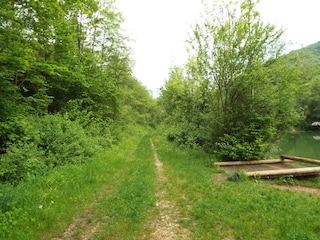 Weg um den See