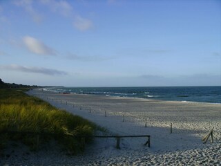 Strand in Zingst