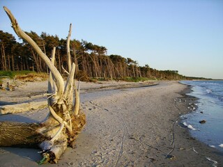 Am Weststrand