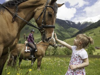 Reiten