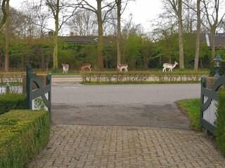 Casa per le vacanze Oostkapelle Registrazione all'aperto 7