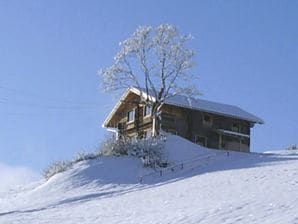 Ski lodge Mayrhofen - Hippach - image1