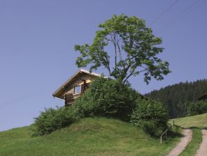 Skihütte Mayrhofen - Hippach - image1