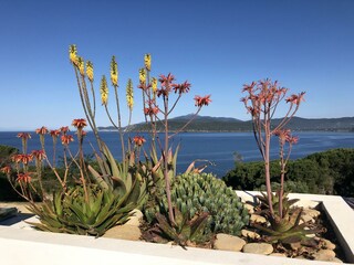 Villa Capoliveri Buitenaudio-opname 17