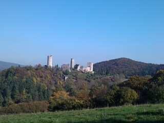 Die Burgruine "Brandenburg"