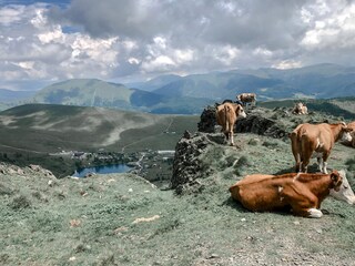 Casa per le vacanze Falkertsee Ambiente 38