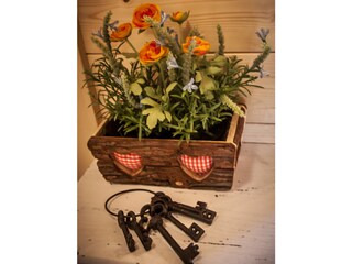 Casa per le vacanze Falkertsee Caratteristiche 14