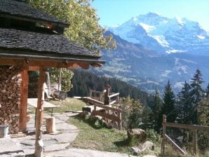 Mountain hut Chalet Yeti