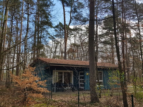 Ferienhaus Waldpark am Roofensee