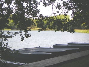 Ferienhaus Waldpark am Roofensee - Stechlin - image1