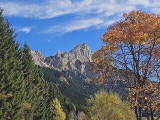 Vakantieappartement Höfen Buitenaudio-opname 5