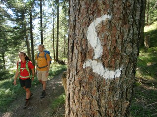 Appartamento per vacanze Höfen Registrazione all'aperto 21