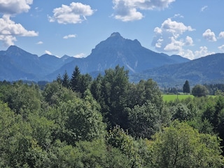 Apartamento de vacaciones Höfen Entorno 50