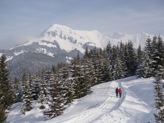 Vakantieappartement Höfen Buitenaudio-opname 13