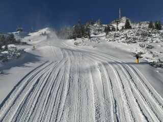 Vakantieappartement Höfen Omgeving 55