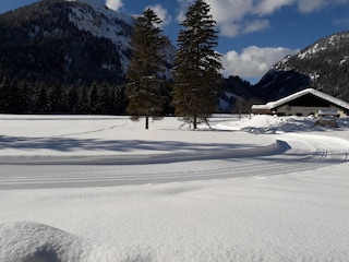 ruhige Loipe am Plansee