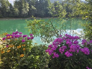 Appartamento per vacanze Höfen Ambiente 51