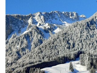 Appartamento per vacanze Höfen Ambiente 67