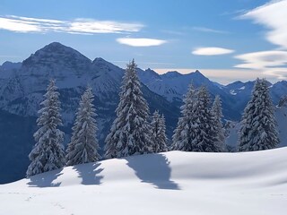 Appartamento per vacanze Höfen Documento 75