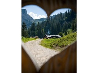 Vakantieappartement Höfen Buitenaudio-opname 30